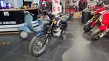 Kawasaki W230 #SOFORT - NAKED BIKE VON 126 BIS 250 CCM