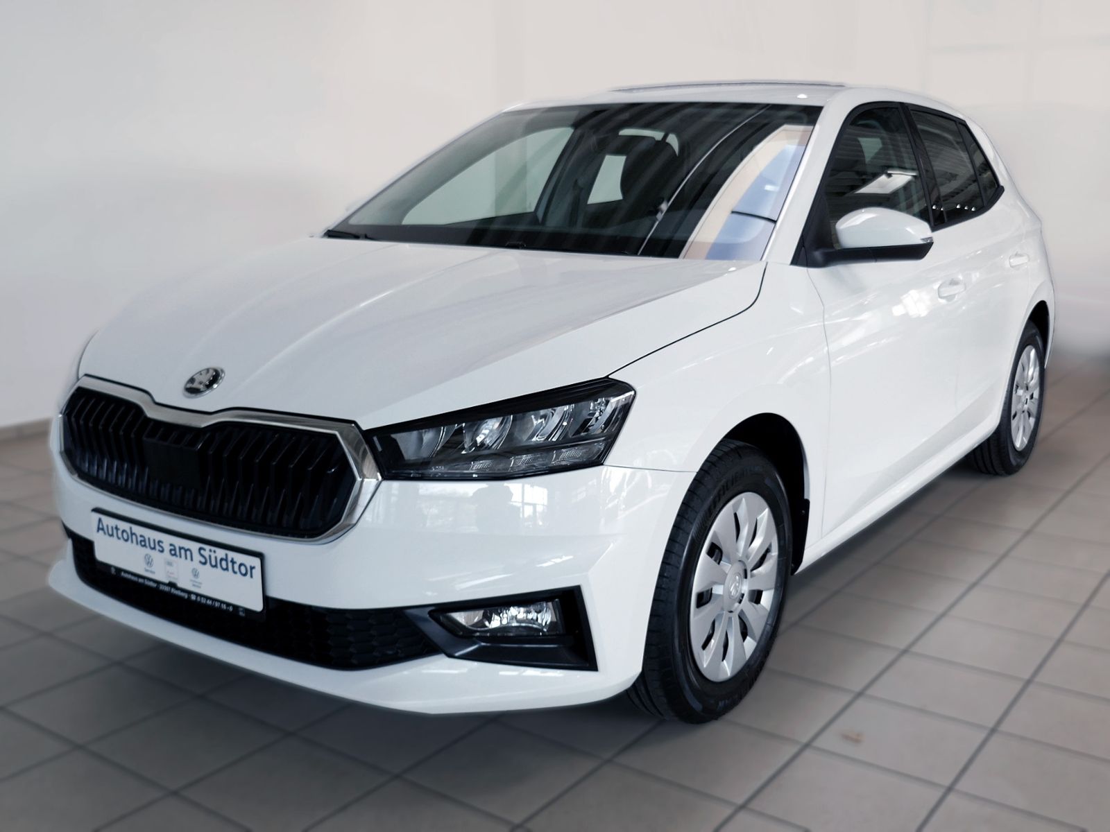 Fahrzeugabbildung SKODA Fabia  Selection 1.0 MPI | LED PDC GRA App