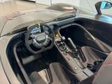 Dallara Stradale Barchetta Spoiler Exposed Carbon Nero - Dallara