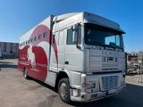DAF XF95.380 9x Horse Box / 9x Pferdebox / - DAF Xf 95