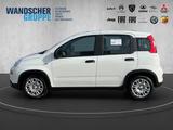 Fiat Panda 1.0 Mild Hybrid MY24 PDC TEMPOMAT SPURHALT - Fiat Panda: Weiß