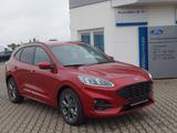 Ford Kuga ST Line NAVI,SHZ v u. h, beheiz. Lenkrad - Ford Kuga Tageszulassungen