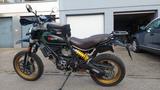 Ducati Scrambler  Desert Sled  - DUCATI SCRAMBLER