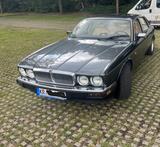 Jaguar XJ6 - graue Jaguar XJ6