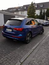 Audi SQ5 3.0 TDI plus tiptronic quattro - - Audi SQ5 Gebrauchtwagen in Köln
