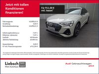 Audi e-tron - Vorschau Bild 1