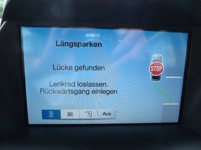 Kuga Trend