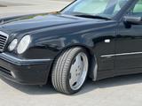 Mercedes-Benz E 50 AMG AMG - Mercedes-Benz E 50 Gebrauchtwagen