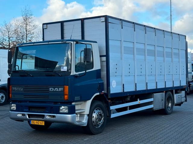 DAF CF 75 250 VEE TRANSPORTER 2 LAAGS