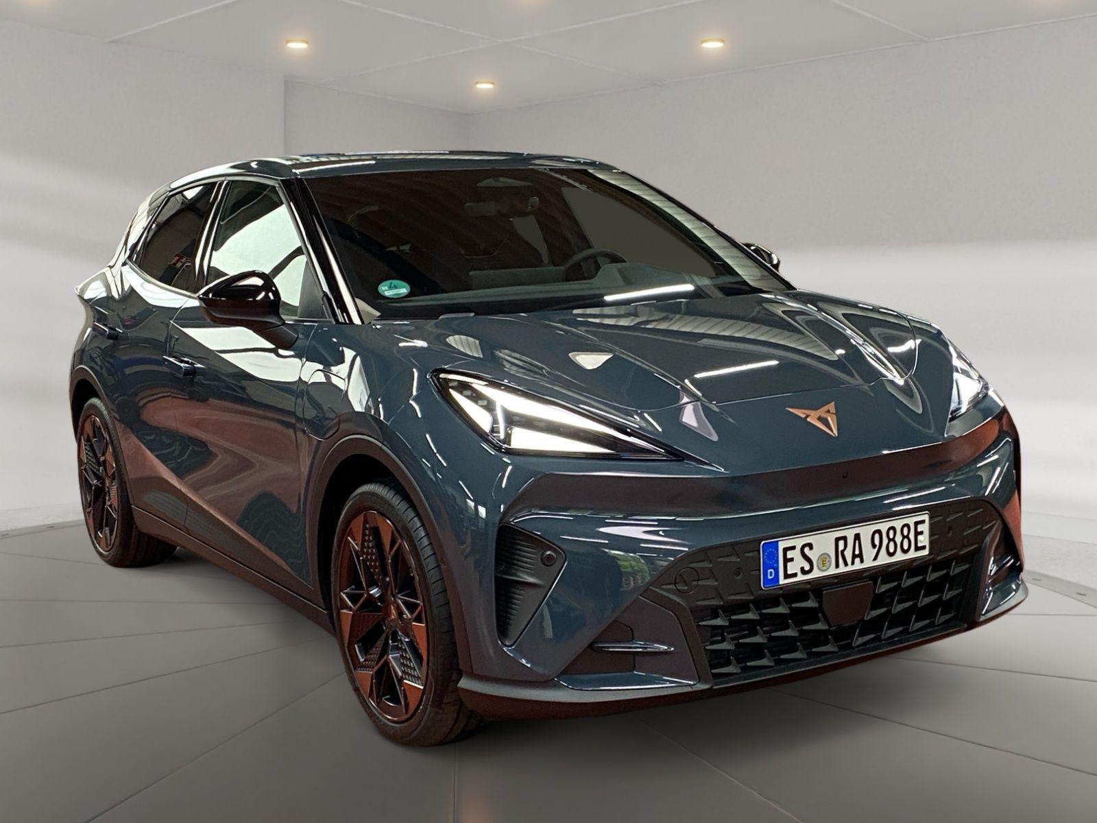 Cupra Raval Endurance 52 kWh LED/Assist/Kamera/DAB/uvm
