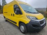 Fiat Ducato Maxi Grossr.-Kasten 35 L4H2 Kamera Navi - Fiat Ducato: L4h3