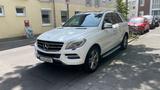 Mercedes-Benz ML 350 4MATIC - - Mercedes-Benz ML 350 in Köln