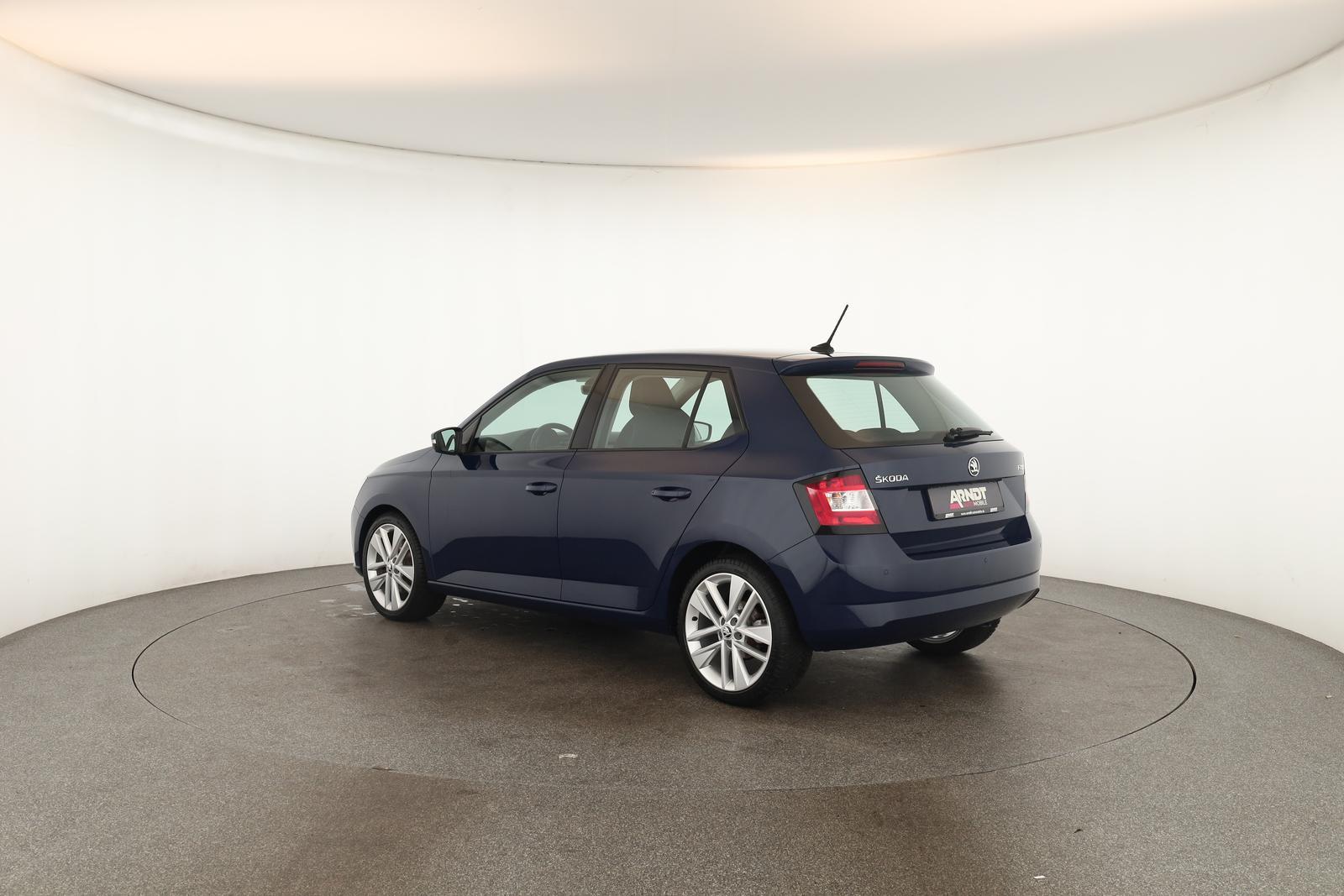 Skoda Fabia 1.0 TSI DSG Style Klima DAB SHZ ACC PDC 17