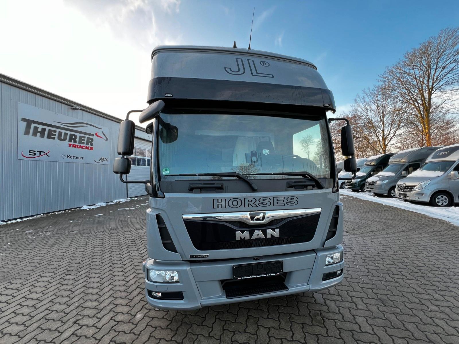 MAN 12 250 5 Pferde Pop-Out