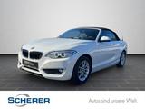 BMW 220i Advantage AUTOMATIK NAV LEDER BI-XENON SHZ - BMW 220 in Mainz