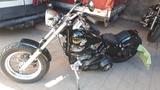 Harley-Davidson shovelhead - HARLEY-DAVIDSON SHOVELHEAD