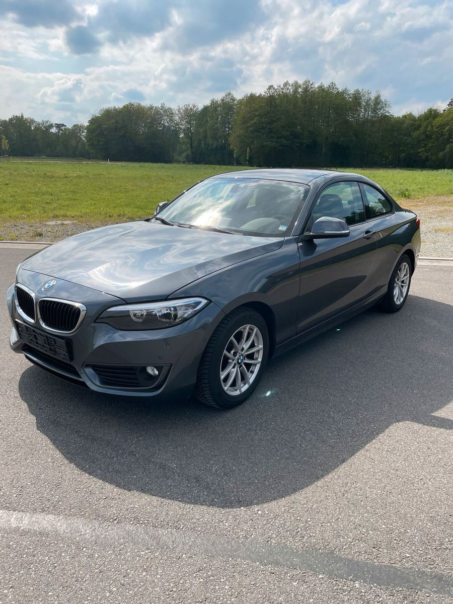 BMW BMW 218i Coupé grau