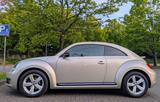 Volkswagen Beetle 1.4 TSI BMT Sport Pano  - Volkswagen Beetle: Sport