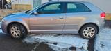 Audi A3 1.6 Attraction,TÜV und Service Neue. - Audi A3: 1.6