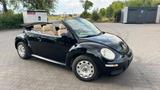 Volkswagen VW Käfer 1.4 Benzin nur 101 Tkm! - Volkswagen New Beetle mit Benzin-Antrieb: Cabrio, 1.4