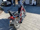Suzuki VS 800 Intruder, gepflegt, 1. Hand - SUZUKI VS800