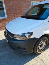 Volkswagen Caddy 2,0TDI 75kW Kastenwagen - Volkswagen Caddy: Kastenwagen