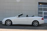 Mercedes-Benz CLK 55 AMG Cabrio / super Zustand / wenig KM - Mercedes-Benz CLK 55 AMG: Cabrio
