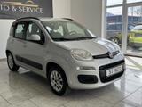 Fiat Panda 1.2 Lounge Business - silberne Fiat Panda