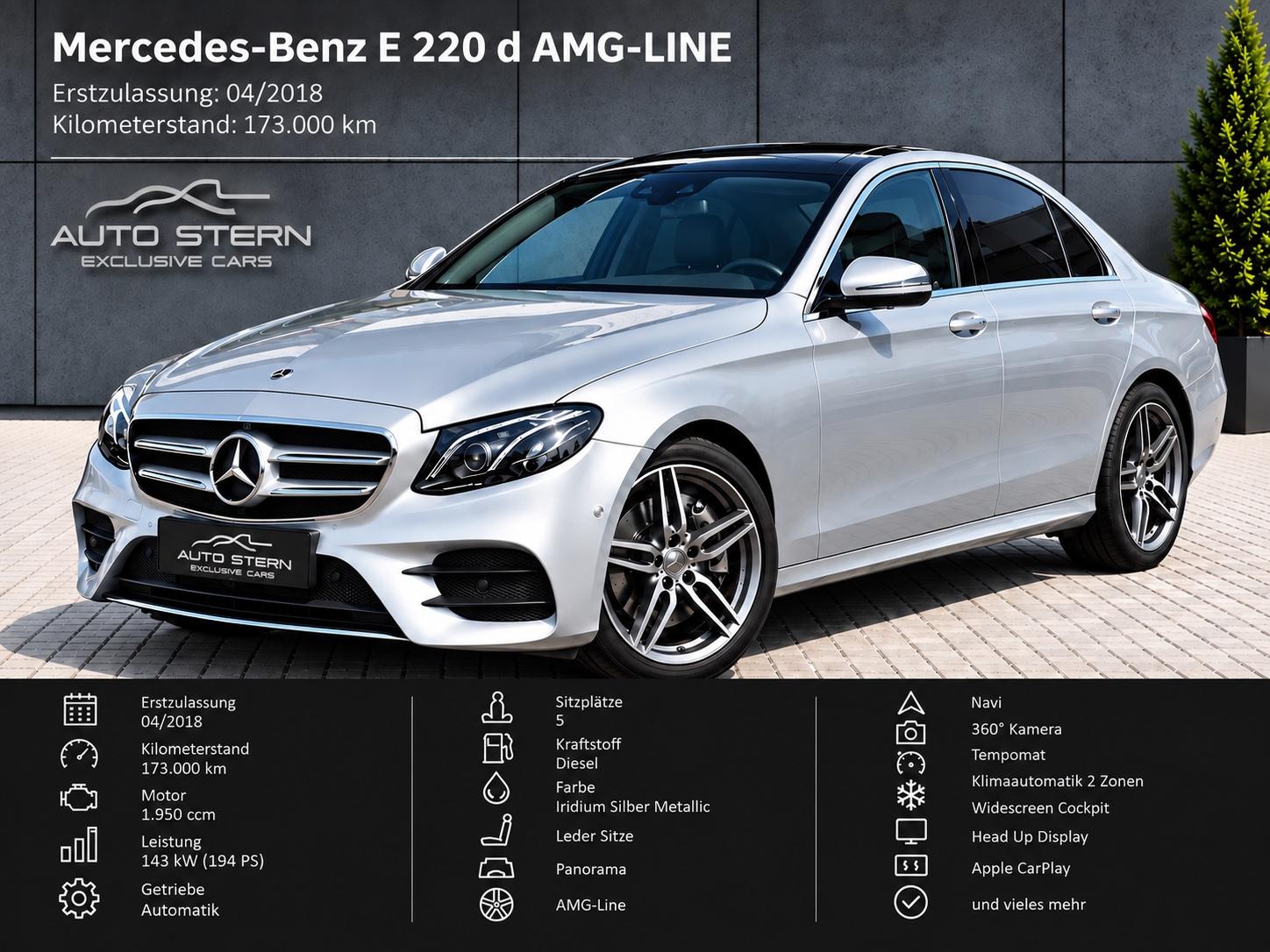 Mercedes-Benz E 220 d AMG PANORAMA HUD LEDER 360° 19" W-SCREEN