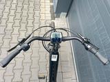 Diamant BeryLL Deluxe+ Trekking  NEUPREIS 3.249,- - E-Trekkingbike E-Bikes