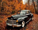Dodge Andere