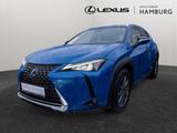 Lexus UX 250 h Executive NAVI HGSD HEAD-UP DISPLAY - Lexus Gebrauchtwagen