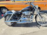 Harley-Davidson Sportster Custom 1200 XL2 - HARLEY-DAVIDSON 2004 1200 SPORTSTER