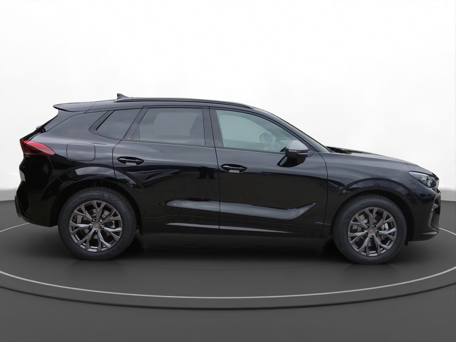 Cupra Terramar - Bild 6