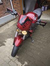Buell XB9SX - BUELL XB9