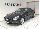 Mercedes-Benz SLK 250d 9G LEDER PANO BIXENON ILS AIRSCARF - mit Diesel-Antrieb: Cabrio