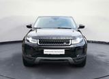 Land Rover Range Rover Evoque 2.0 eD4 Pure  - Land Rover Range Rover Evoque: Privatanbieter
