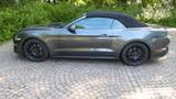 Ford Mustang Cabrio 2,3 EcoBoost Autom. Navi LED - Ford Mustang