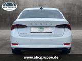 Skoda Octavia IV First Edition 1,5l TSI 110 kW,6-Gang- - Skoda Octavia: Limousine
