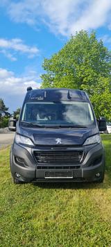 Bravia Swan 636 - Bravia Kastenwagen