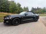 Ford Mustang - GT500 Cabrio - Ford Mustang: Cabrio, Gt500