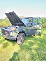 Mercedes-Benz G 250 Wolf - Mercedes-Benz G 250 von privat