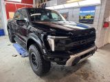 Ford F150 Raptor,37, MY 2025, Vorlauf 3,5 V6, Raptor - Ford: 15 M