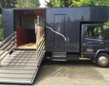 Mercedes-Benz Pferdetransporter 811 D