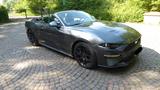 Ford Mustang Cabrio 2,3 EcoBoost Autom. Navi LED - Ford Mustang