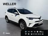 Toyota RAV 4 Executive 2.5 Hybrid 4x4 *AHK*Pano*360*JBL - Toyota RAV 4: Geländewagen