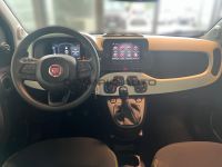 Fiat Panda Cross Hybrid 1.0 GSE PARKSENSOREN KLIMA BT - Image