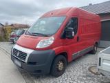 Fiat Ducato L2H2, AHK, Camperausbau Firmen... - Fiat Ducato: Camper