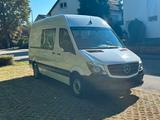 Mercedes-Benz Sprinter 316 CDI Teilverglast Aut. Klima Standhz - Mercedes-Benz Sprinter Gebrauchtwagen in Mannheim