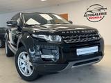 Land Rover Range Rover Evoque Pure°1.Hd°AHK°Meridian°Xenon - Land Rover Gebrauchtwagen von 2013